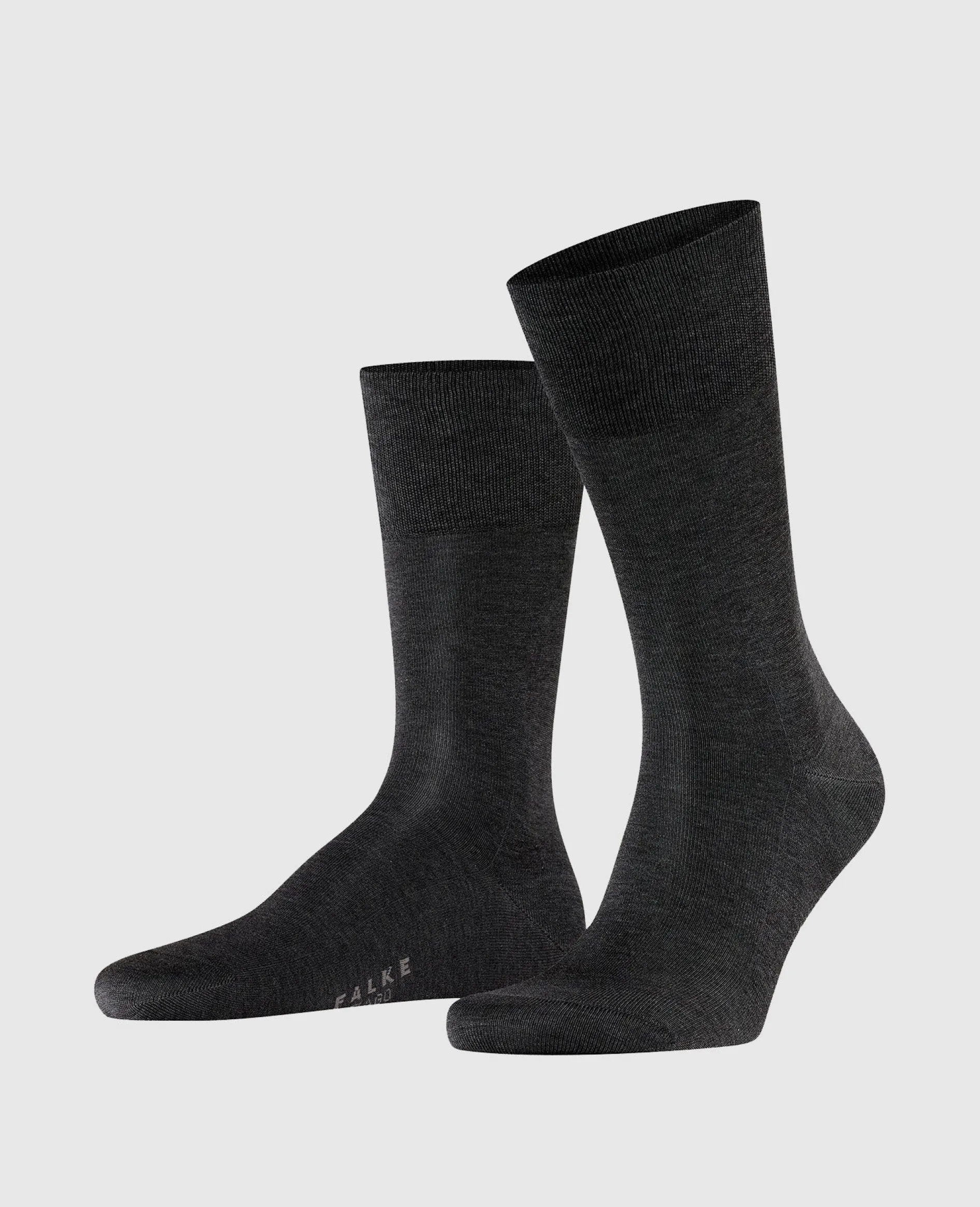 Falke »Tiago« kurz