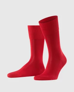 Falke »Tiago« kurz