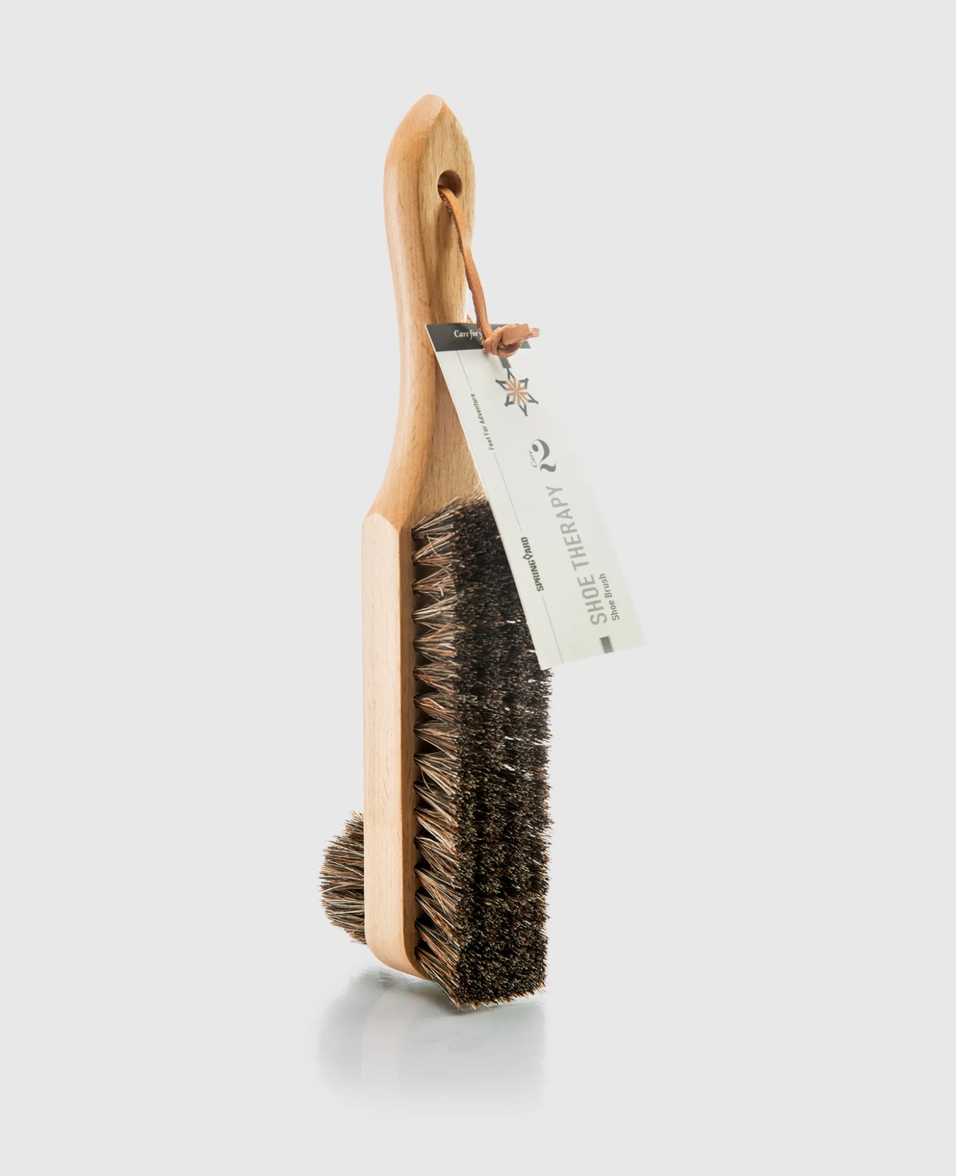 Shoe Brush