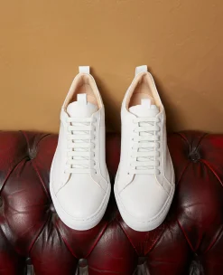 Turin Court Sneaker NP